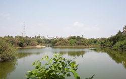 Adyar Eco Park,chennai 